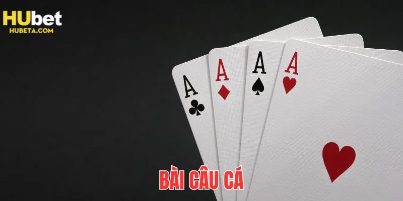 Bài Câu Cá Hubet